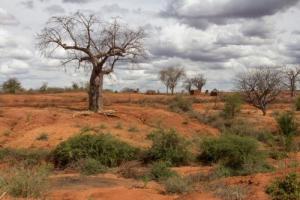 06-16-2016Desertification_0_0.jpg