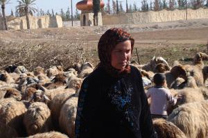 07-23-2015FAO_Syria_0.jpg