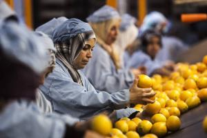 11-02-2015Food_Safety_0.jpg