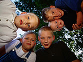 15339_2.jpg