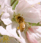15490052_0.jpg