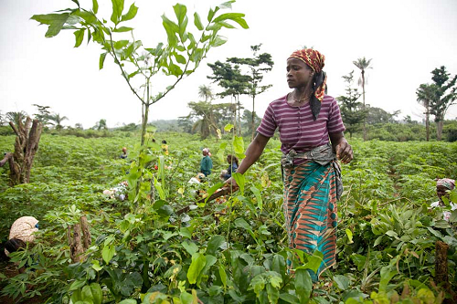 200191-agro_2.jpg