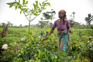 200191-agro_2_0.jpg