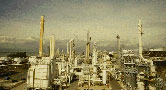 20110024_0.jpg
