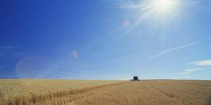 20130823PHT18018_original_0.jpg