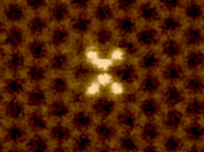 47211.jpg