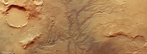 Dried_out_river_valley_network_on_Mars_large_0.jpg