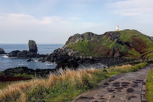 Jeju_Island_Seopjikoji.jpg
