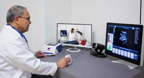 Remote_ultrasound_investigation_is_shown_on_radiologist_s_screen_pillars_0.jpg