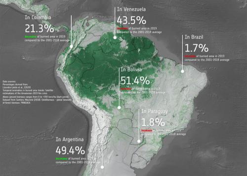 Total_burned_area_in_2019_compared_to_the_2001-2018_average_pillars_0.jpg