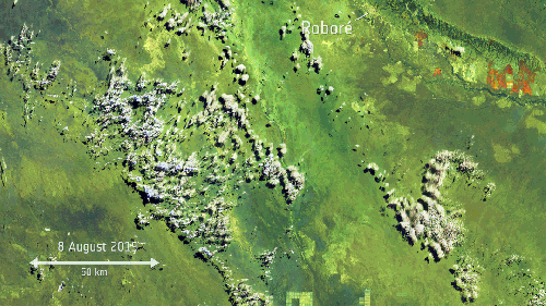 Wildfires_on_the_border_between_Bolivia_Paraguay_and_Brazil_from_Copernicus_Sentinel-2_article_mob_0.gif