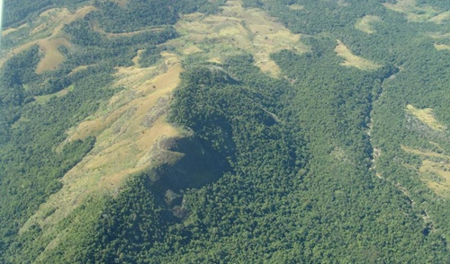 forests_iucn_geoffroy.jpg