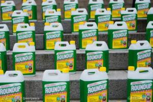 glyphosate on steps_Web_size_with_credit_line_0_0.jpg