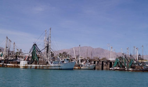 islands_mexico_iucn.jpg