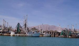 islands_mexico_iucn_0.jpg