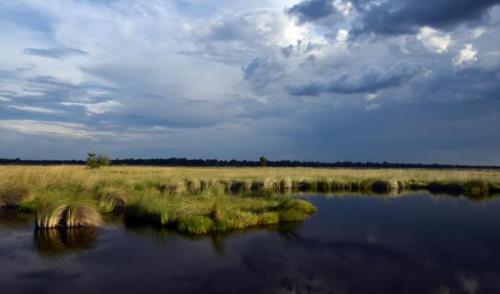 okavango_delta_botswana_-_wetlands_are_valuable_natural_infrastructure_for_preventing_damage_from_floods_c_mark_gnadt_0_0.jpg
