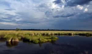 okavango_delta_botswana_-_wetlands_are_valuable_natural_infrastructure_for_preventing_damage_from_floods_c_mark_gnadt_0_0_0.jpg