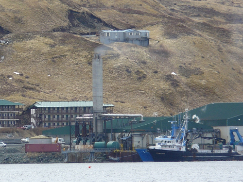 p1030422_800x600.jpg