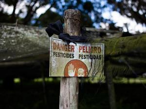 pesticide-danger-sign_dave-getzschman-800_0.jpg