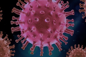 virus-4937553_1280.jpg