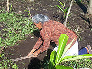 woman_in_tapachula_mexico__iucn__julian_orozco_badilla_203574.jpg