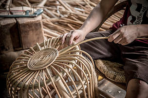 wwf_laos_597400.jpg